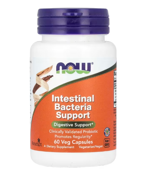Intestinal Bacteria, Suporte para Bactérias Intestinais, 60 Cápsulas, Now